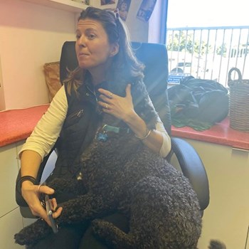 thumbnail petsitter Praha 9 nebo páníček pro psi kočky