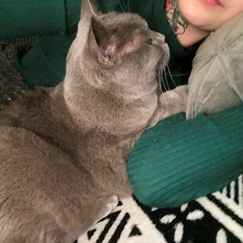 thumbnail petsitter Česká Třebová nebo páníček pro psi kočky