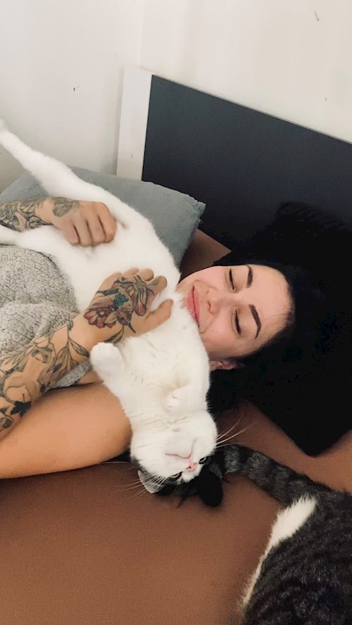 Bella- petsitter Česká Třebová nebo Páníček pro psi kočky