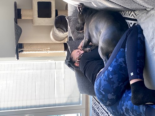 Bella- petsitter Česká Třebová nebo Páníček pro psi kočky