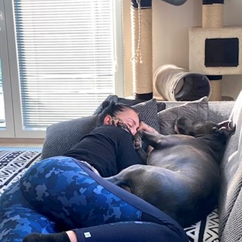 thumbnail petsitter Česká Třebová nebo páníček pro psi kočky