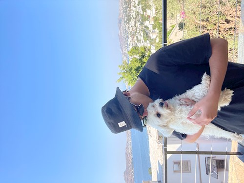 Eren- petsitter Praha 5 or Pet nanny for dogs cats 