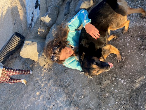 Gabriella- petsitter Praha  or Pet nanny for dogs 