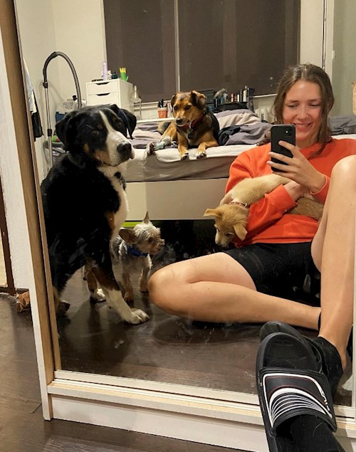 Tereza- petsitter Praha nebo Páníček pro psi