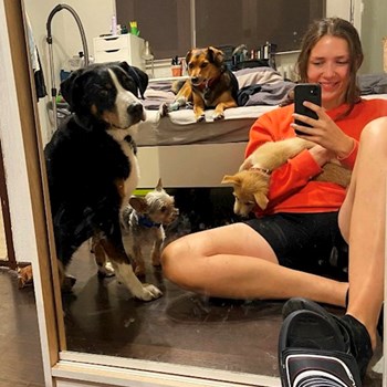 thumbnail petsitter Praha nebo páníček pro psi