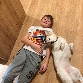 thumbnail petsitter Kamenný Přívoz nebo páníček pro