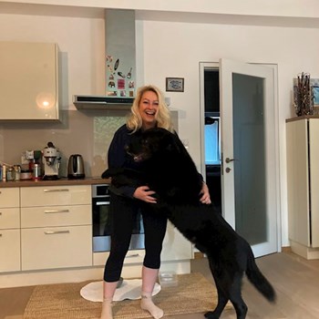 thumbnail petsitter Kamenný Přívoz nebo páníček pro