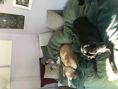 Emma- petsitter Prague nebo Páníček pro psi