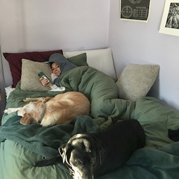 thumbnail petsitter Prague nebo páníček pro psi