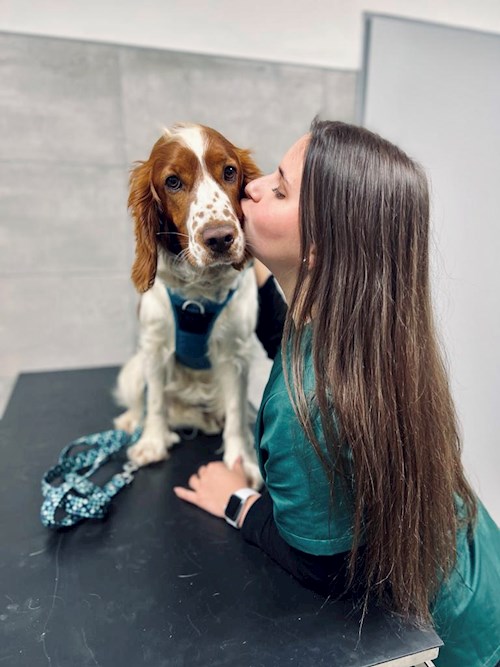 Lucie- petsitter Frýdek-Místek or Pet nanny for dogs cats