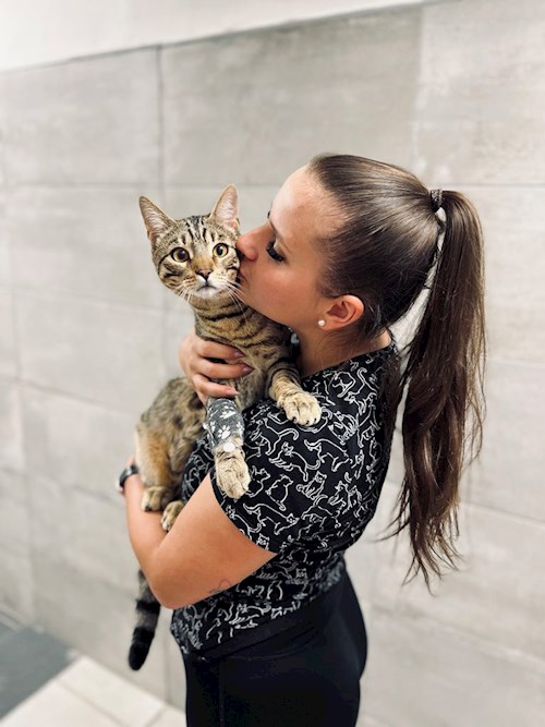 Lucie- petsitter Frýdek-Místek or Pet nanny for dogs cats