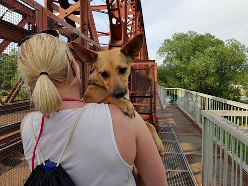 Dita- petsitter Praha nebo Páníček pro psi