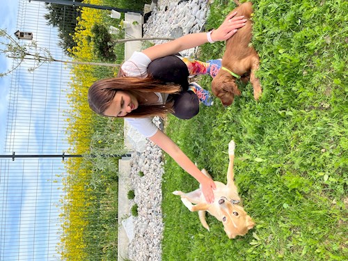 Lucie- petsitter Bernartice nebo Páníček pro psi kočky