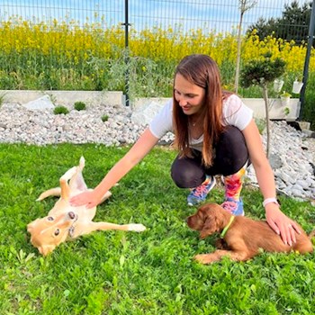 thumbnail petsitter Bernartice nebo páníček pro psi kočky