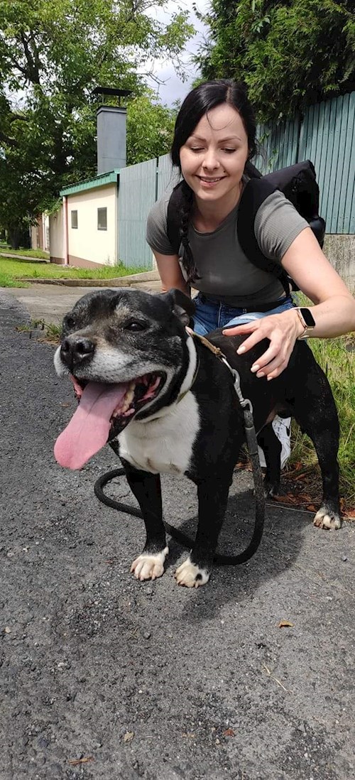 Alžběta- petsitter Praha 6 nebo Páníček pro