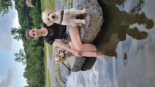 Daria- petsitter Praha 7 nebo Páníček pro psi kočky