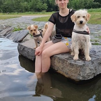 thumbnail petsitter Praha 7 nebo páníček pro psi kočky