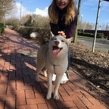 thumbnail petsitter Prague or pet nanny for dogs cats