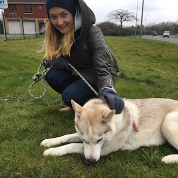 thumbnail petsitter Prague or pet nanny for dogs cats