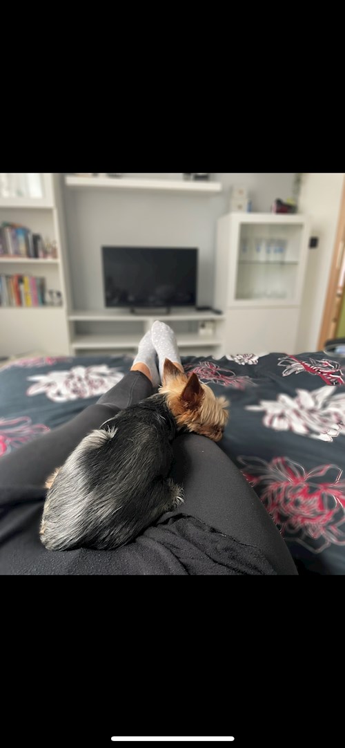 Michaela- petsitter Prague or Pet nanny for dogs cats