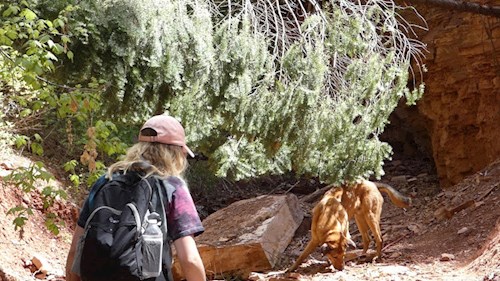 Michaela- petsitter Prague or Pet nanny for dogs cats