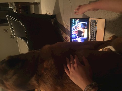 Michaela- petsitter Prague or Pet nanny for dogs cats