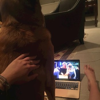 thumbnail petsitter Prague or pet nanny for dogs cats