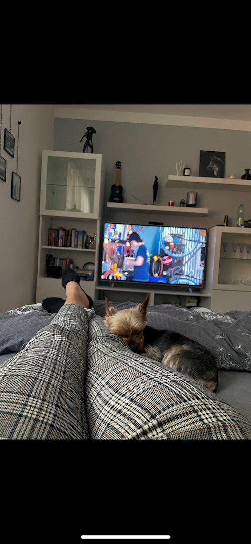 Michaela- petsitter Prague or Pet nanny for dogs cats