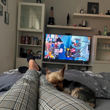 thumbnail petsitter Prague or pet nanny for dogs cats