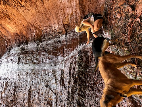 Michaela- petsitter Prague or Pet nanny for dogs cats