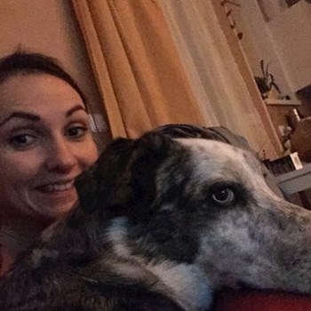 thumbnail petsitter Praha nebo páníček pro psi kočky