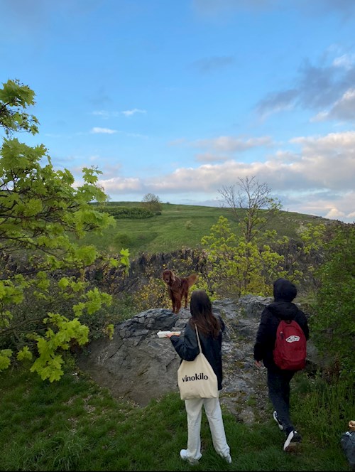 Barbora- petsitter Prague or Pet nanny for dogs