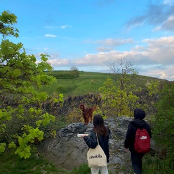 thumbnail petsitter Prague or pet nanny for dogs