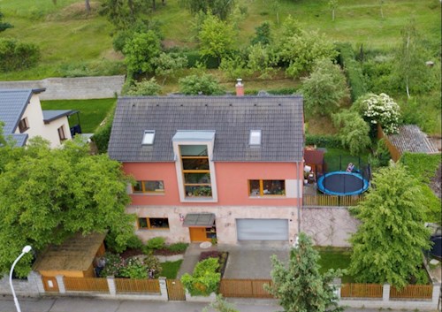 Barbora- petsitter Prague or Pet nanny for dogs