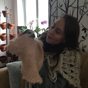 thumbnail petsitter Praha 6  nebo páníček pro psi