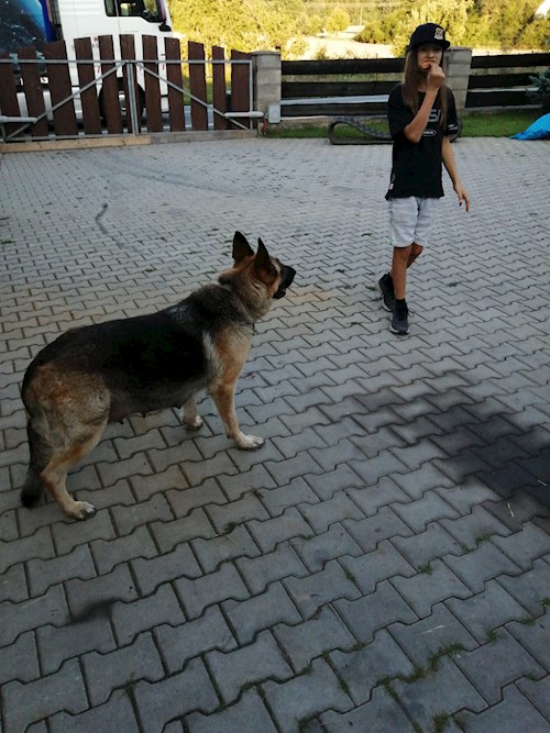 Tereza- petsitter Praha or Pet nanny for dogs 