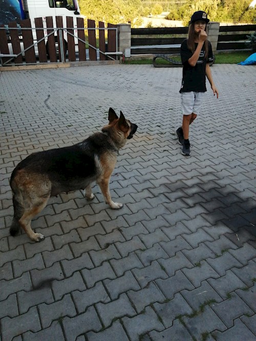 Tereza- petsitter Praha or Pet nanny for dogs