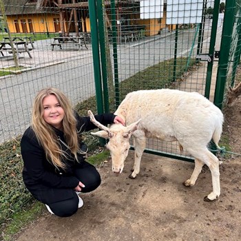 thumbnail petsitter Bruntál a okolí, Krnov a okolí, Opava a okolí nebo páníček pro psi kočky