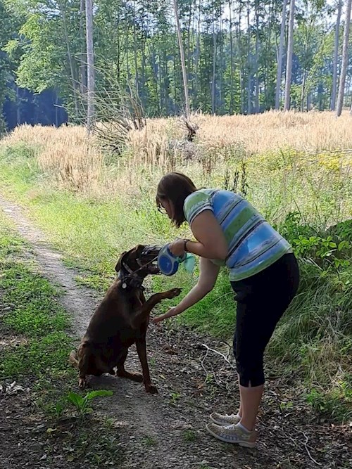 Jana- petsitter Praha 8 nebo Páníček pro psi kočky