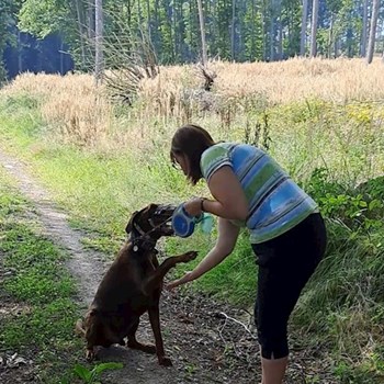 thumbnail petsitter Praha 8 nebo páníček pro psi kočky