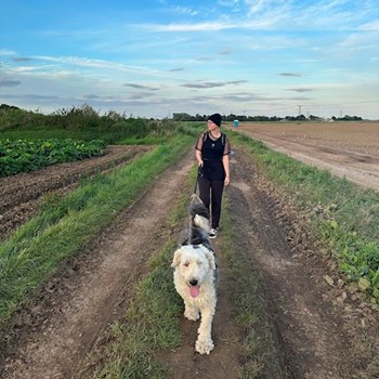 thumbnail petsitter praha nebo páníček pro psi kočky