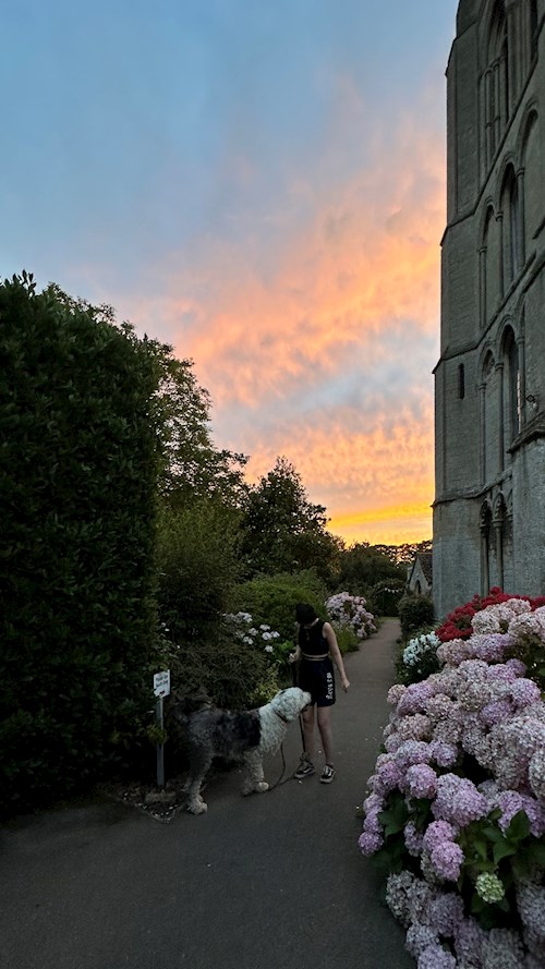 Kateřina- petsitter praha nebo Páníček pro psi kočky