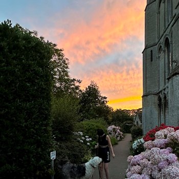 thumbnail petsitter praha nebo páníček pro psi kočky