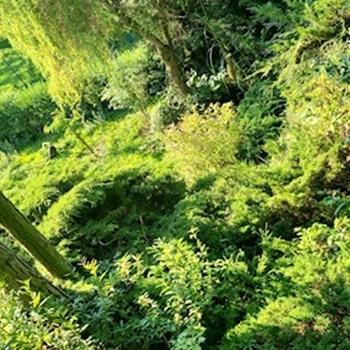 thumbnail petsitter Kařez nebo páníček pro psi