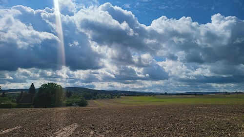 Simona- petsitter Kařez nebo Páníček pro psi