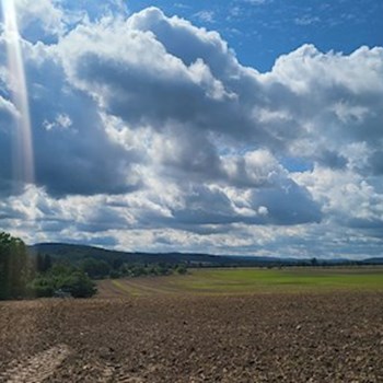 thumbnail petsitter Kařez nebo páníček pro psi