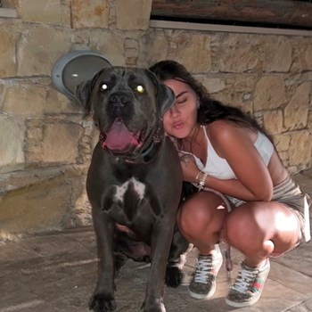 thumbnail petsitter Prague  nebo páníček pro