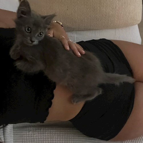 Emily- petsitter Prague  nebo Páníček pro