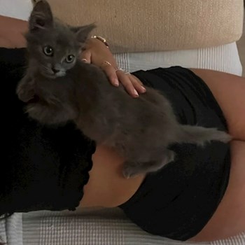 thumbnail petsitter Prague  nebo páníček pro