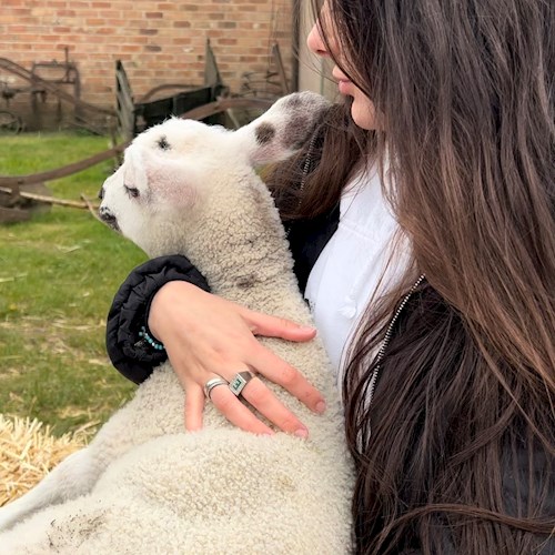 Emily- petsitter Prague  nebo Páníček pro